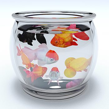 现代金鱼玻璃水缸 鱼缸