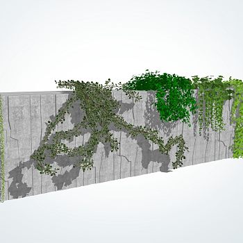藤本爬墙植物